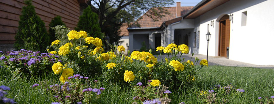 Bártfay Guesthouse - 3907 Tállya, Rákóczi út 25-27.